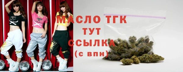 шишки Лабытнанги