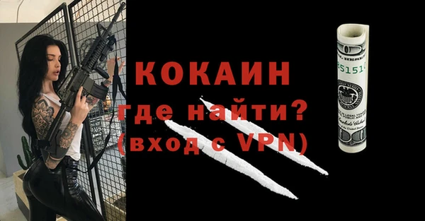 шишки Лабытнанги