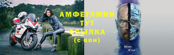 шишки Лабытнанги