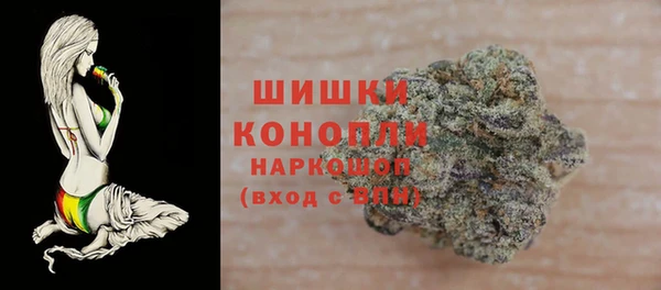 индика Лагань