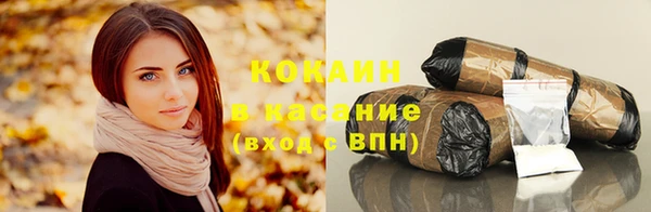индика Лагань