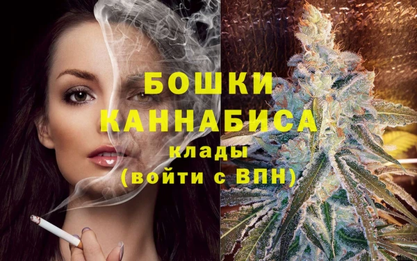 шишки Лабытнанги