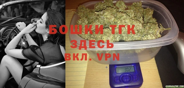 шишки Лабытнанги