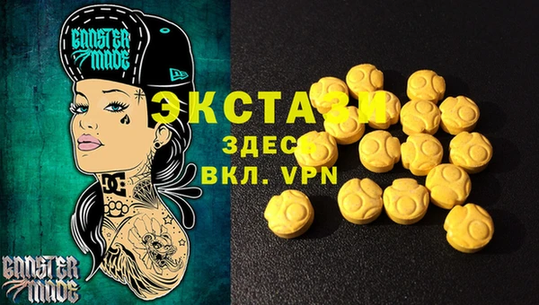 шишки Лабытнанги