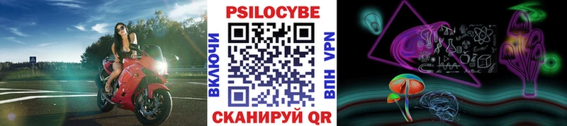 Псилоцибиновые грибы Psilocybe  Купить  Карабаш 