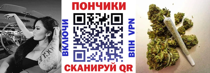 Конопля планчик  Купить закладки  Карабаш 